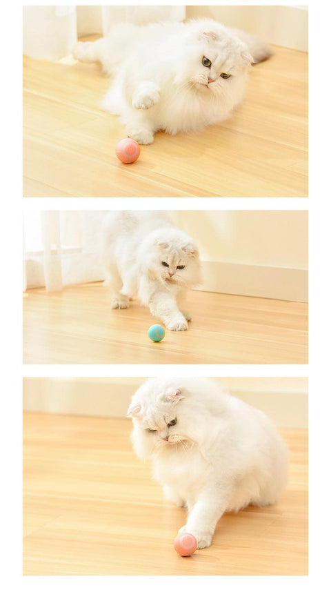 Cat Gravity Intelligent Rolling Ball - Daring Pet