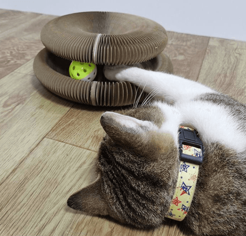 Cat butler toy