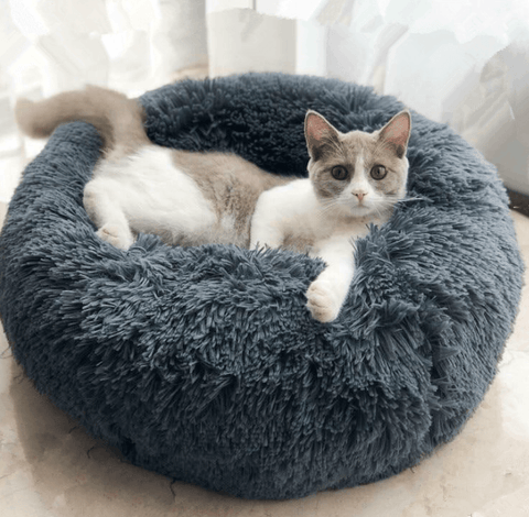 Pet beds