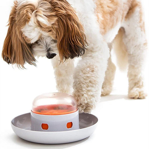 Automatic Pet Feeder