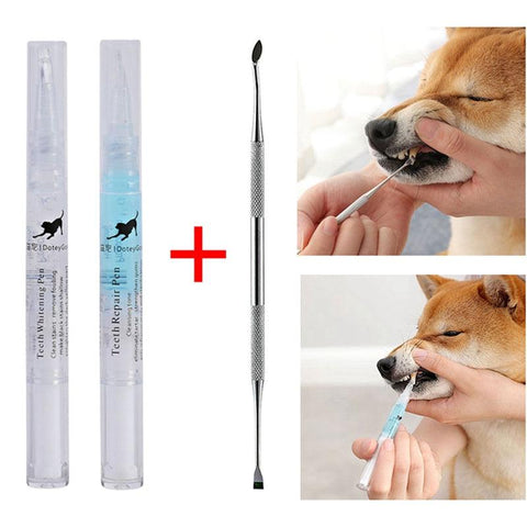 Dog cat tartar cleaning tool