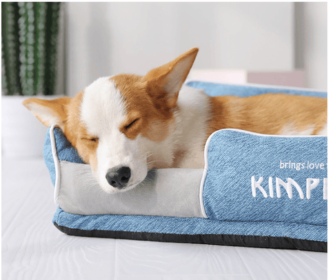 Pet Bed