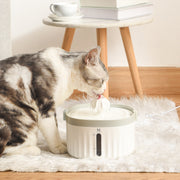 Cat Water Dispenser