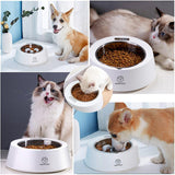 Smart Weighing Dog Slow Feeder Daring Pet