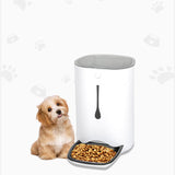 Timed pet video automatic feeder Daring Pet