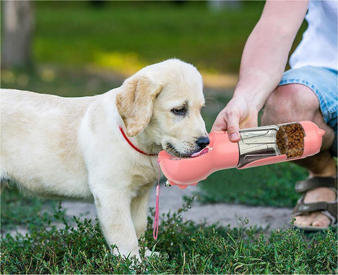 Pet Water Bottle for Outdoor Travel 